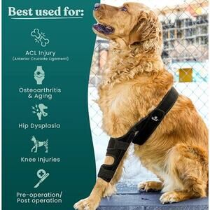 NEW Adjustable Dog Knee Brace